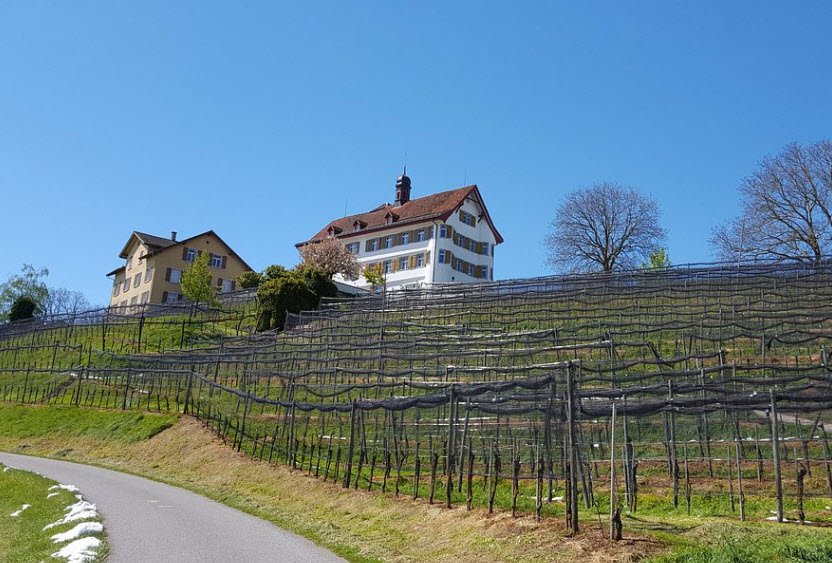 Schloss Dottenwil, Wittenbach, Switzerland